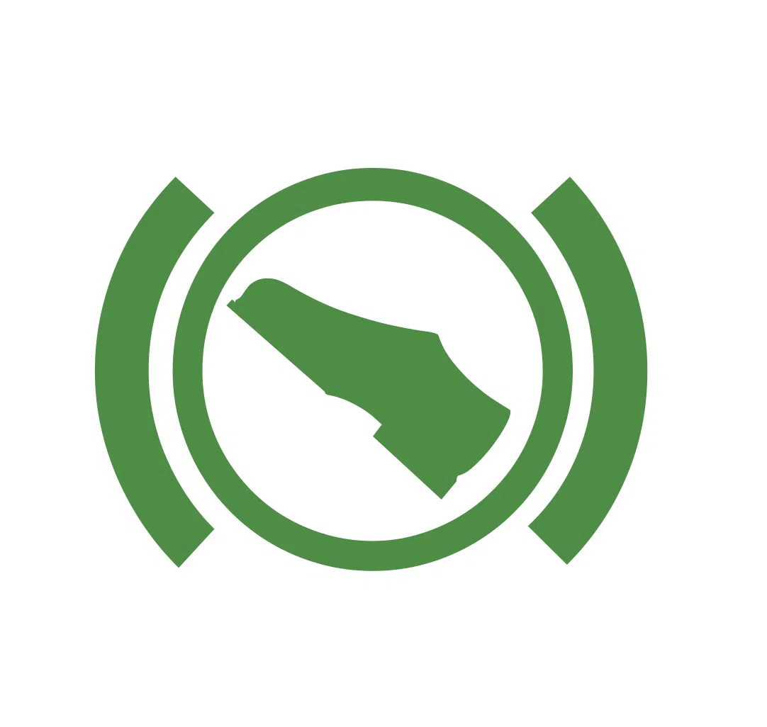 Skoda warning lights — brake pedal / Auto Hold indicator (green)