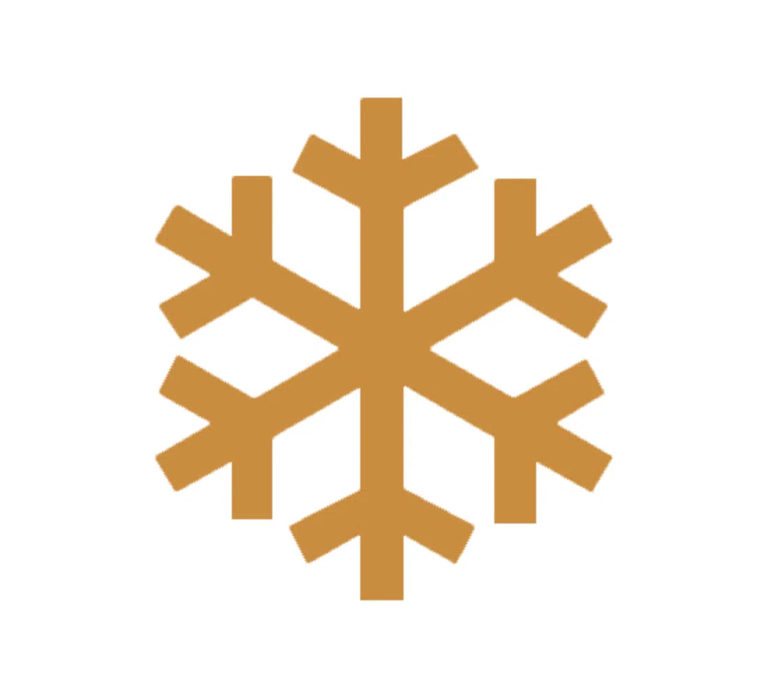 Skoda warning lights — snowflake low outside temperature symbol