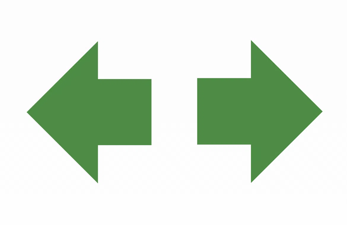 Skoda warning lights — turn signal indicator (green)